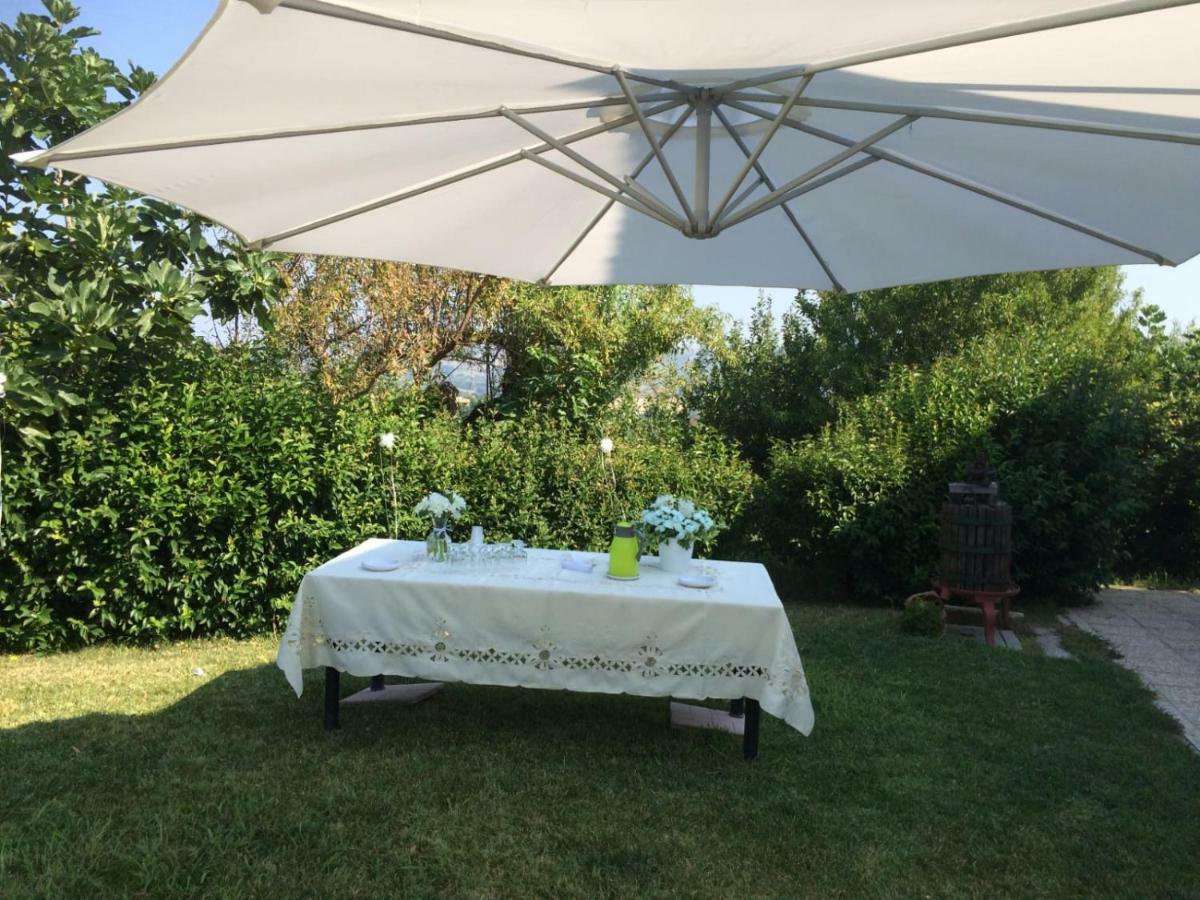 B&B La Casa In Campagna Collecorvino 외부 사진