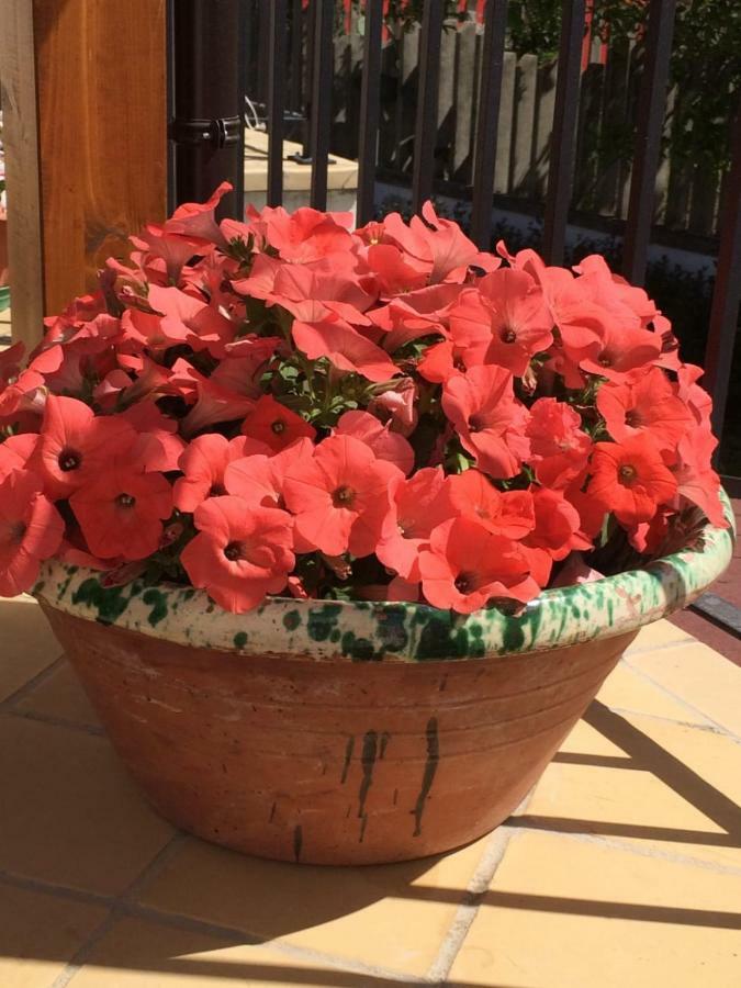 B&B La Casa In Campagna Collecorvino 외부 사진